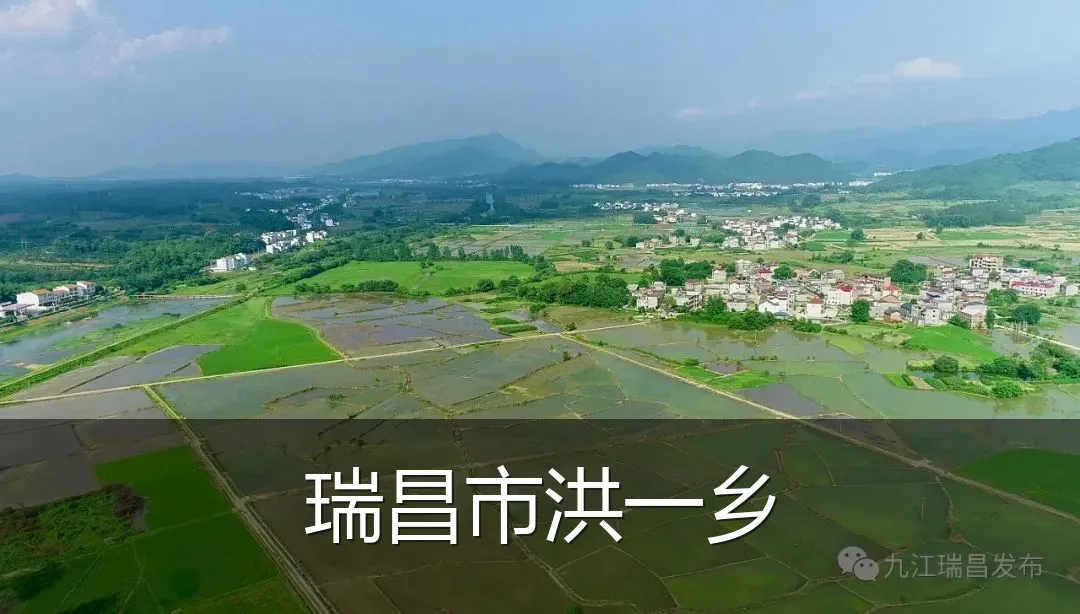 瑞昌市洪一乡