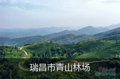 瑞昌市青山林场