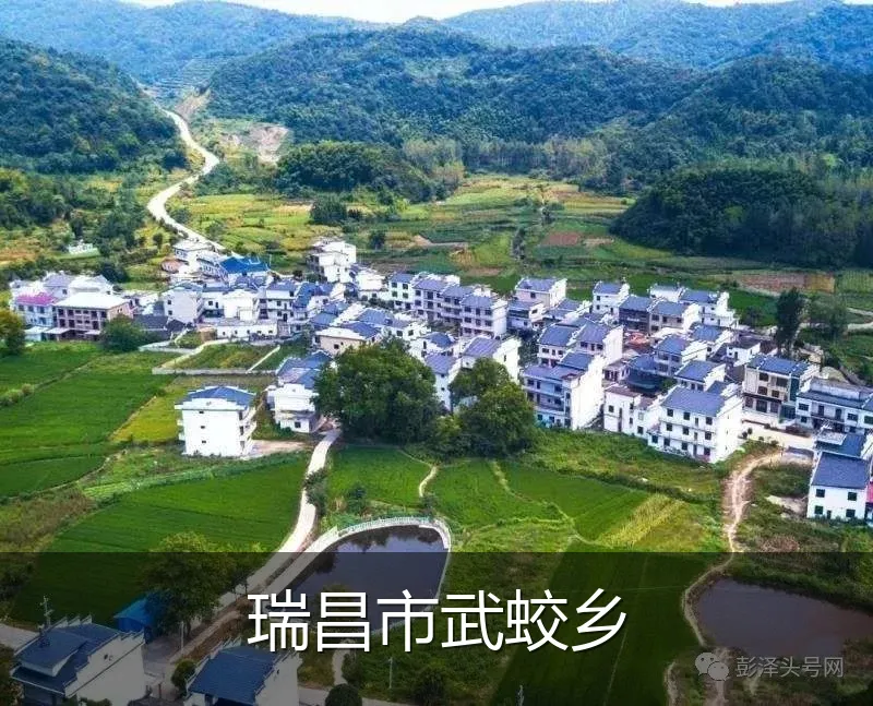 瑞昌市武蛟乡